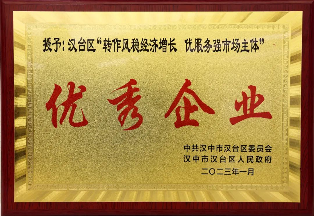 創(chuàng)新研究院榮獲漢臺區(qū)“轉(zhuǎn)作風(fēng)穩(wěn)經(jīng)濟(jì)增長 優(yōu)服務(wù)強(qiáng)市場主體”優(yōu)秀企業(yè)