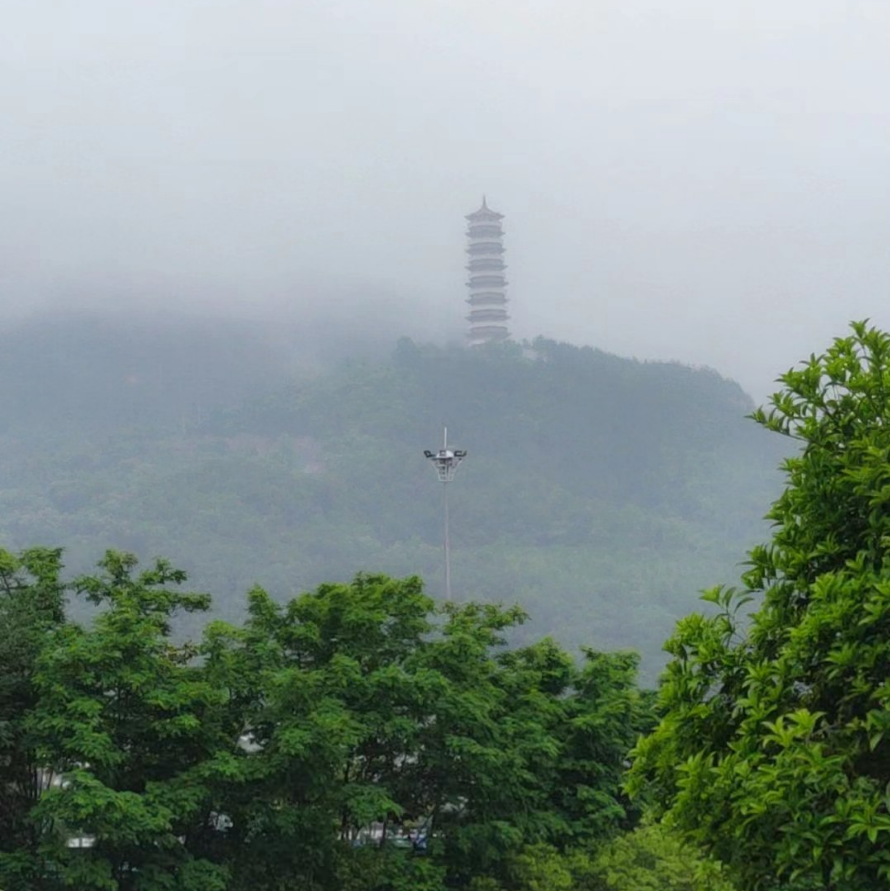 讀書 聽(tīng)雨